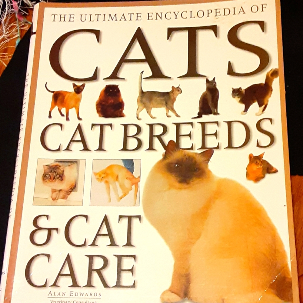 Beautiful Cat care and cat breeds encyclopedia